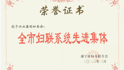 喜報(bào)！興業(yè)集團(tuán)婦委會(huì)榮獲“全市婦聯(lián)系統(tǒng)先進(jìn)集體”榮譽(yù)稱號(hào)